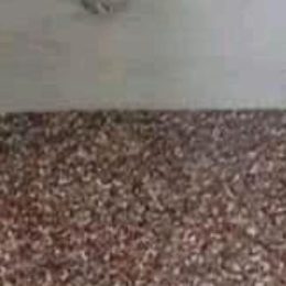 Steinteppich in Rotbraun auf einer Treppenstufe – Farbmuster aus einem ausgeführten Auftrag von mf.steintechnik aus Kirchheim am Neckar